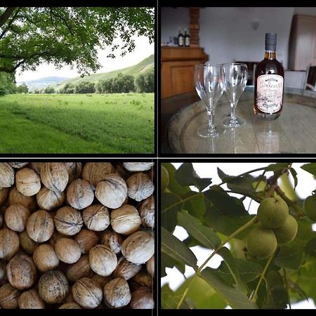 The Wine Cellar In The Old Gemeinde House 브라운버그 외부 사진