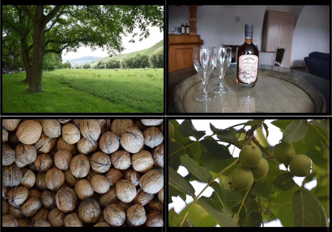 The Wine Cellar In The Old Gemeinde House 브라운버그 외부 사진